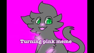 Turning Pink Meme (Adopt Me, Gray cat) * language warning*