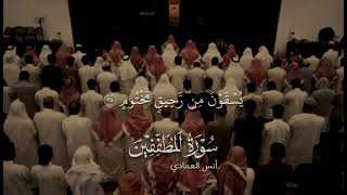 أنس العمادي | سورة المطففين