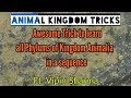 Animal Kingdom Trick- Learn all Phylum names in a sequence Ft. Vipin Sharma