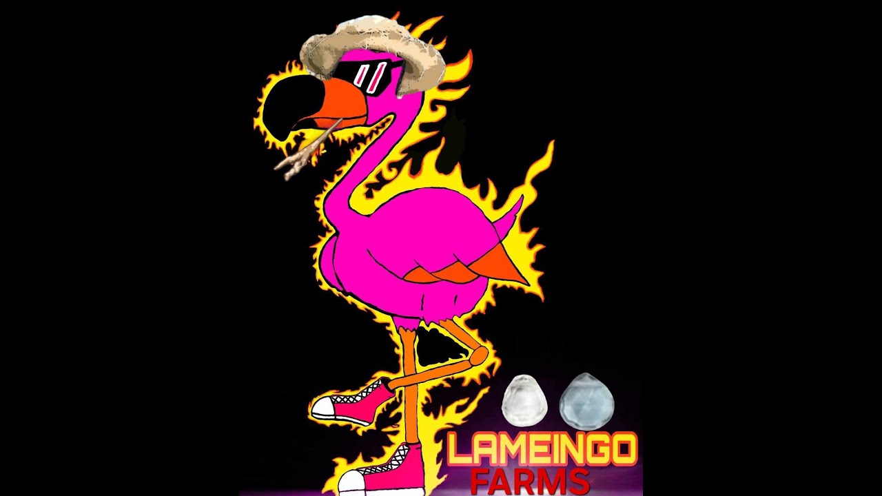 New York Comic Con ROAD TRIP finds