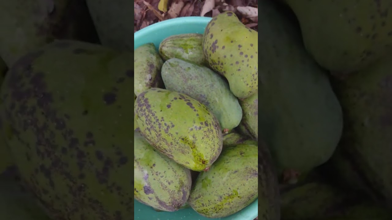 Que manga diferenciada ! 😋😋