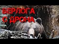 Медведя в БЕРЛОГЕ удалось снять с дрона. Виды берлог.