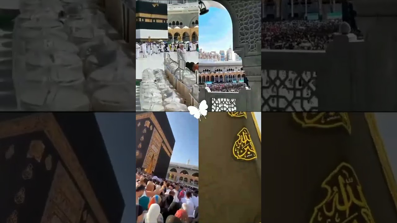 NEW RELEASER 2023 ' SUKOON  Sukoon | subhanallah Ayisha Abdul Tasbih 