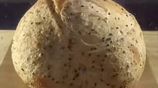 Sourdough Bread Oven Spring Compilation