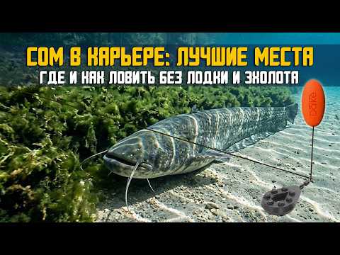 WHERE TO FIND AND CATCH CATFISH IN A QUARRY FROM THE SHORE? DAL'KE about fishing 29