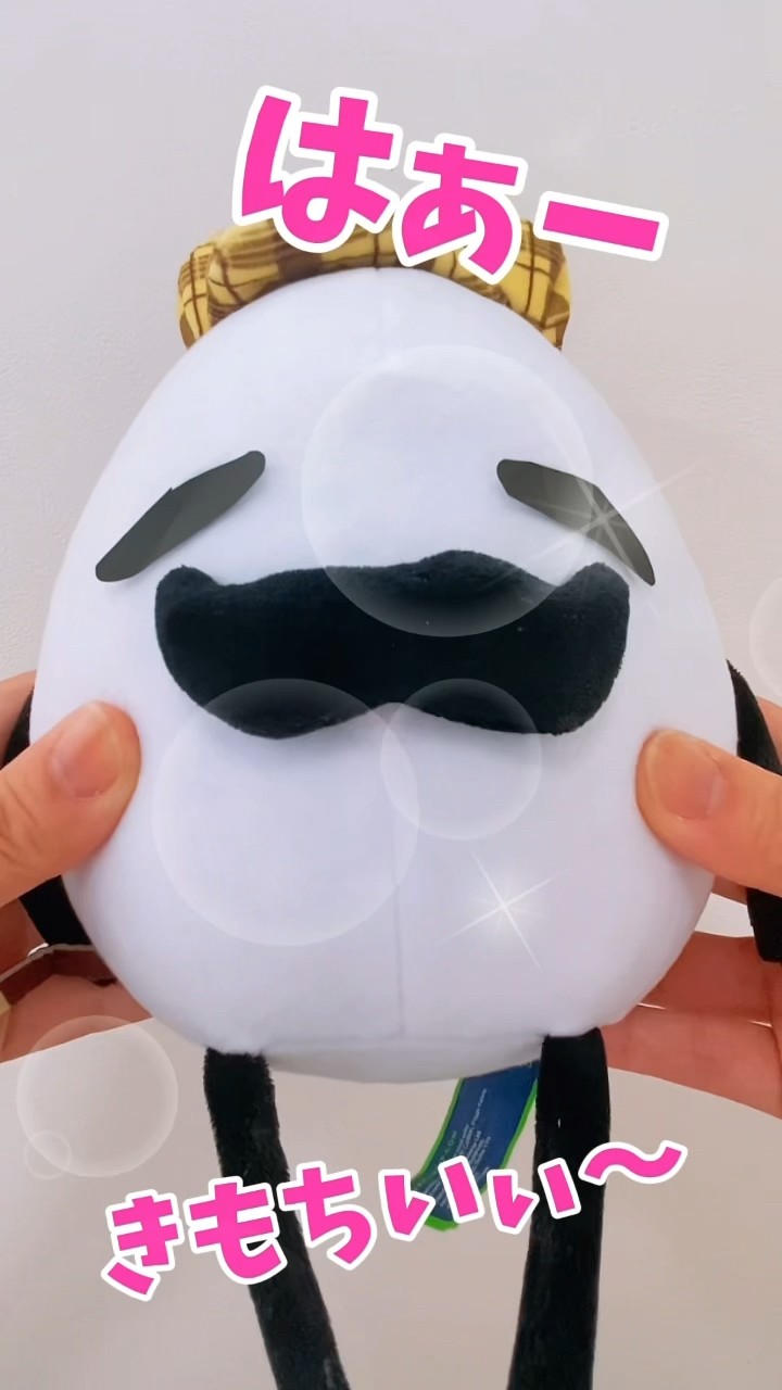 ひみつのおるすばんの探偵たまごのぬいぐるみの注意点☆secret