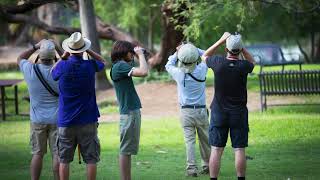 Plan your next birding adventure at a Pima County park