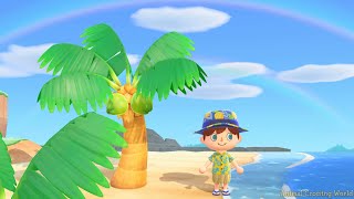 MeteoNook animal crossing