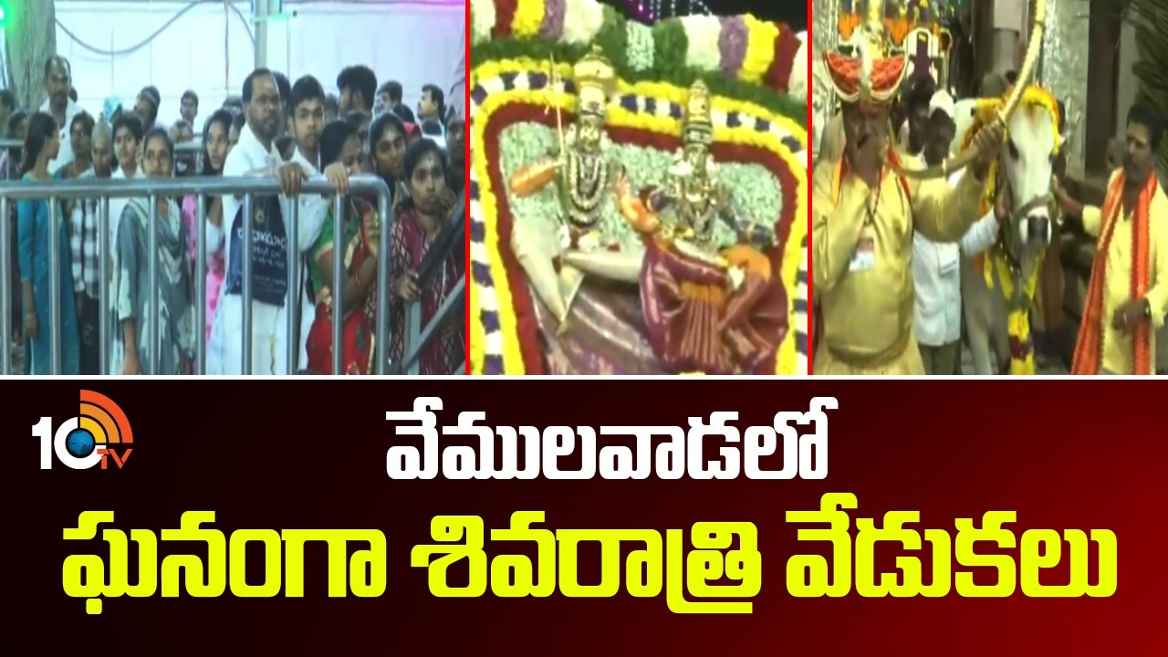వేములవాడలో ఘనంగా శివరాత్రి వేడుకలు | Shivaratri Celebrations in Vemulawada | 10TV News