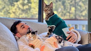 Most Viral Cat Daddy Compilation (Part Two)