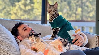 Most Viral Cat Daddy Compilation Part Two