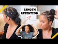 THE BEST WAY TO DO MINI BRAIDS or MINI TWISTS | LENGTH RETENTION CHIT CHAT!