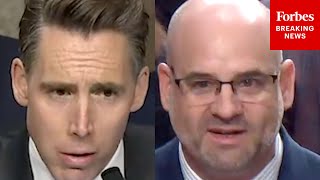 видео: «Что-то, что действительно произошло»: Хоули спрашивает помощника генерального прокурора, разреши... картинка: «Что-то, что действительно произошло»: Хоули спрашивает помощника генерального прокурора, разреши...