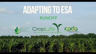 Adapting To Esa: Runoff