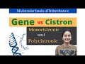 Gene vs Cistron | Molecular Basis of Inheritance | Class 12 | NEET