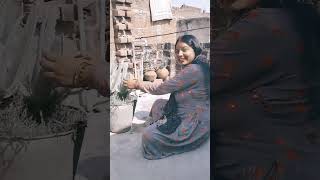     bollywood trending viralsong song 