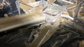 When Was The Last Time You Looked In Your Crawl Space?? by Whole Home and Body Health 83 views 3 months ago 2 minutes, 40 seconds