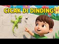 Cicak Cicak Di Dinding dengan Animasi 3D Menggemaskan!