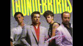 Video thumbnail of "The Fabulous Thunderbirds Born To Love You"