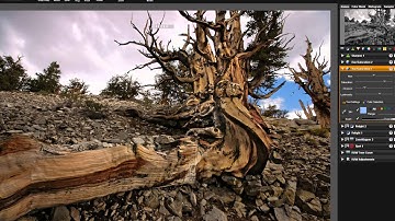 The LightZone Tool Menu