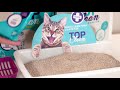 Top clean areia higinica para gatos