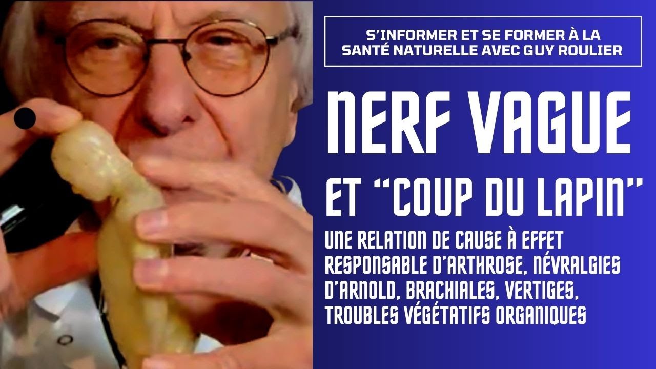Nerf vague, stress, arthrose  et coup du lapin: l'enchaînement infernal  par Guy Roulier (ss-titré)
