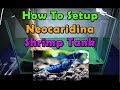 Neocaridina Shrimp Tank Part 1 - How To Setup