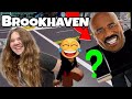 Brookhaven roleplay robbing houses with steve harvey