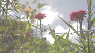 solange - things i imagined (slowed   reverb)