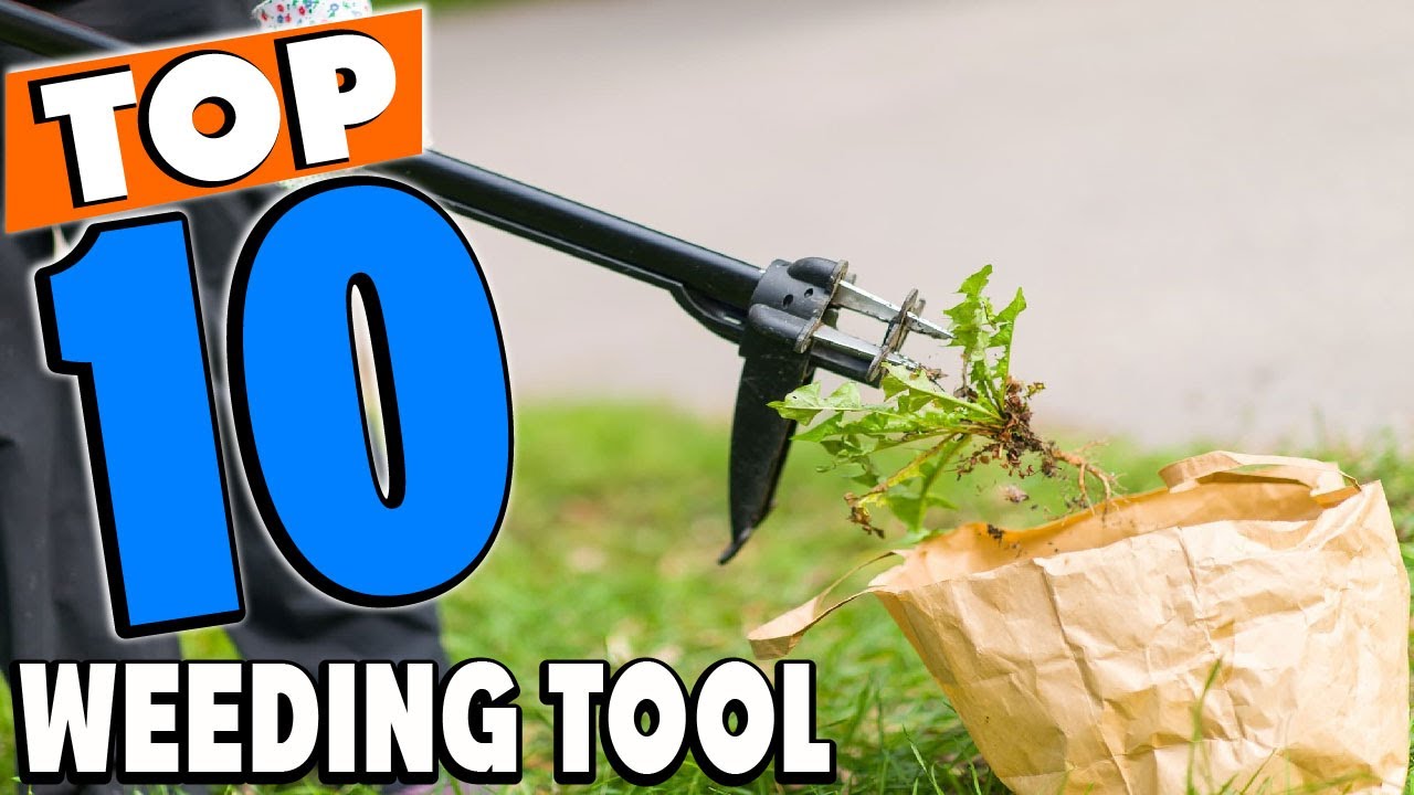 7 best weeding tools, according to experts