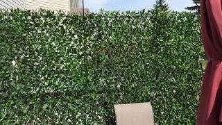 Back deck privacy screen idea