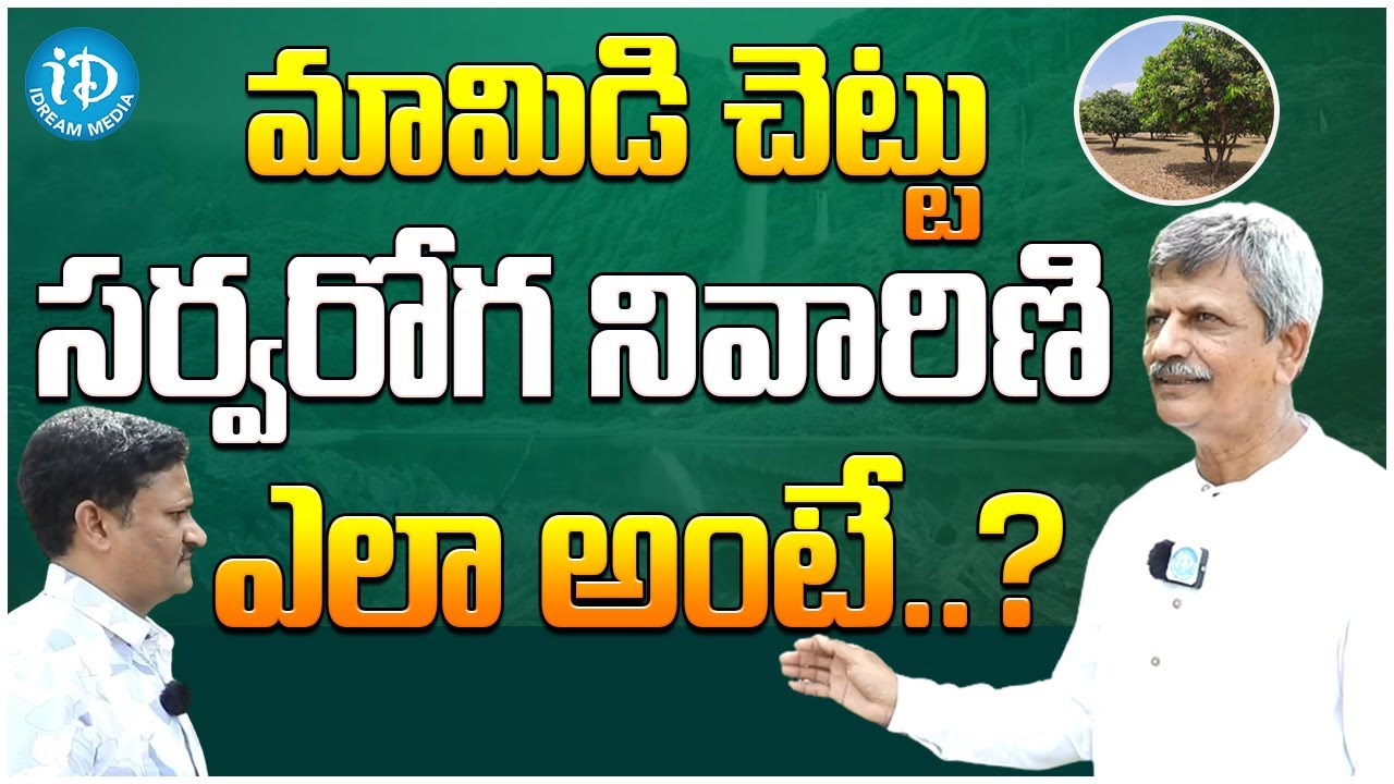 Natural Treatment For Health Problems... | B Anjaneya Raju | Herba Valey's | iDream Media