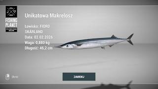 Fishing Planet Unique Atlantic Saury - SKARLAND FJORD NORWAY | Unikatowa Makrelosz
