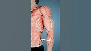 De reactie van je lichaam op dit fitnessregime 💪