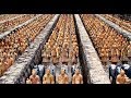 Глиняная армия Китая / Терракотовая армия