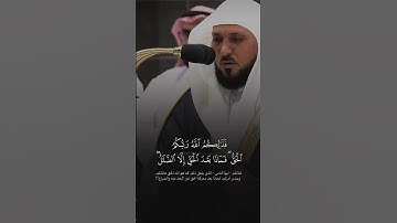 تلاوة خاشعة ومؤثرة للشيخ ماهر المعيقلي #اكسبلور #المصحف #راحة_نفسية #دويتو