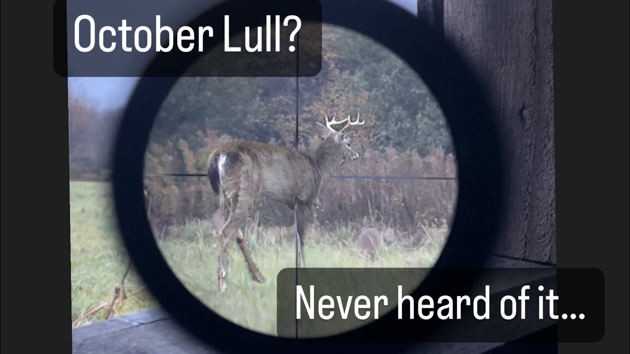 Hunting The OCTOBER LULL...LOTS OF DEER MOVEMENT YouTube