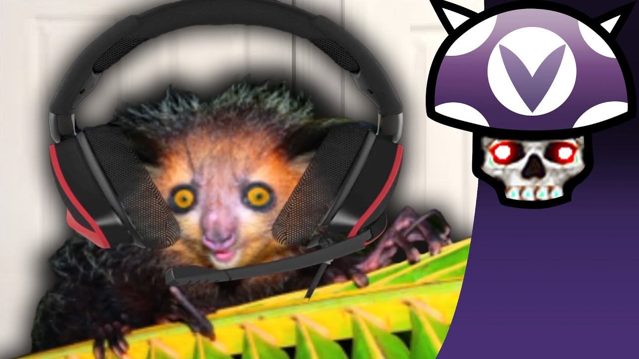 [Vinesauce] Joel - Lemur tech tips - YouTube
