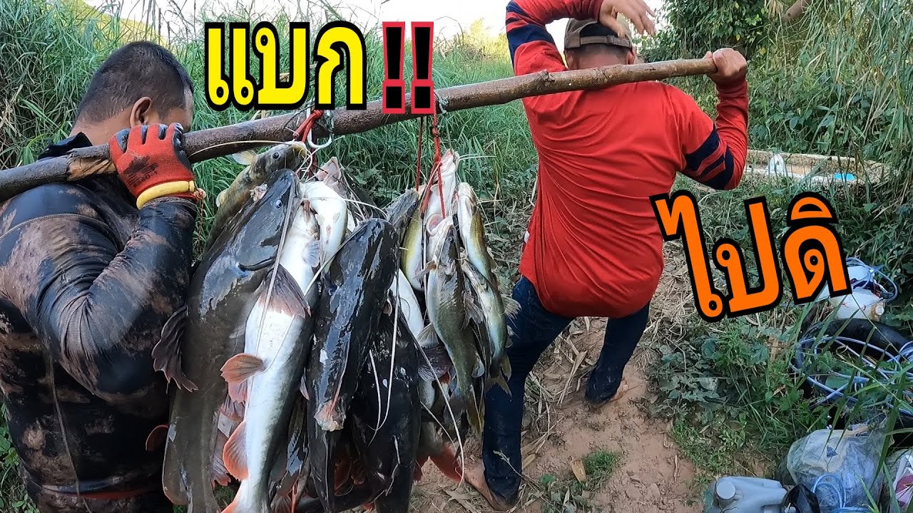 ดำน้ำยิงปลา ถล่มวังปลากดคัง ภาค3