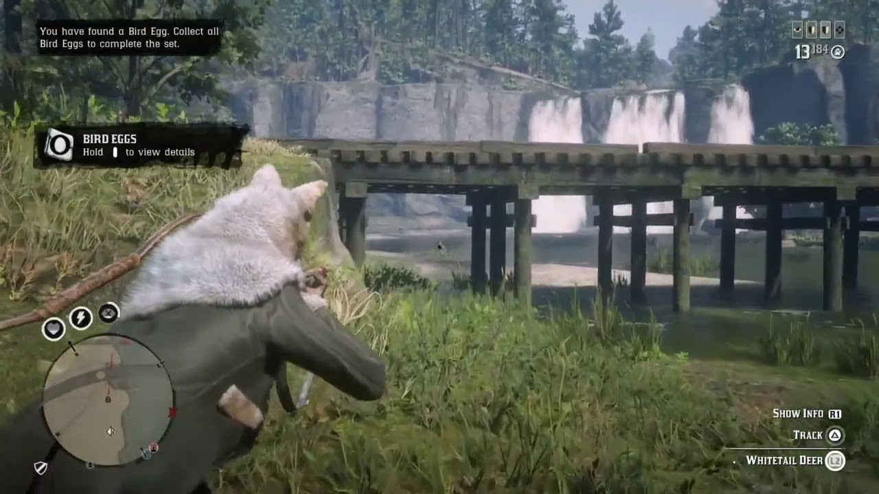 Red Dead online panther location + player encounters + maerbay coat