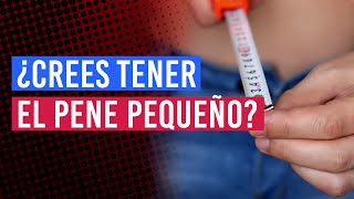 Por Qué Creo Que Tengo El Pene Pequeño? Motivos Y Medidas