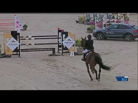 Something Else d’Esprit CSIYH 7/8 yo Peelbergen D3
