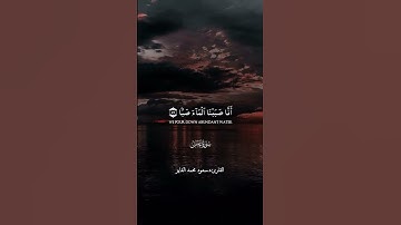 القارئ سعود الفایز #اكسبلور #المصحف #تيك_توك #القزابري #الرحمن #لايك #يصلك #دويتو #duet