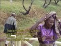 Wangari Kabera - Matatu Cia Gwitu Mp3 Song