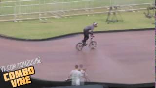 Combo Vine #4