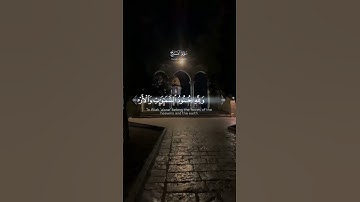 تلاوة هادئة تريح الأعصاب 😴🎧 القارئ: بشار سلامه سورة: الفتح 💙❤