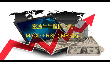 YouTube 股票指标编程 富途牛牛指标公式 MACD RSI MR 指标 技术指标 技术分析 