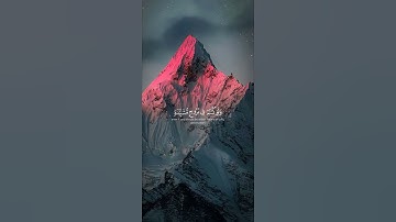 قرآن كريم شفاء للروح♡ لا تدع هموم الدنيا تلهيك عن العبادة #قرآن #quran #قران_كريم