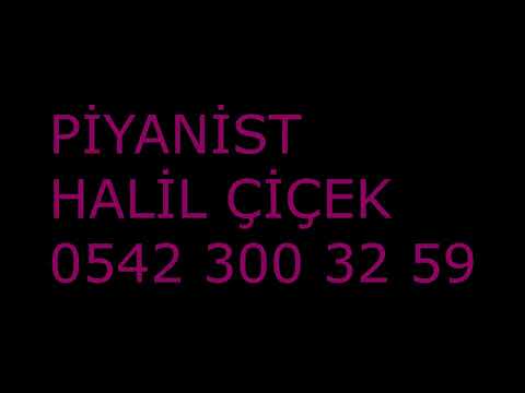 NAİMİ AŞİRETİ  AĞAÇ AİLESİ MP3