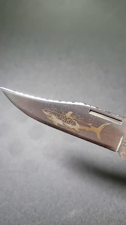 Case Bonestag Mako Rare #case #mako #rareknives